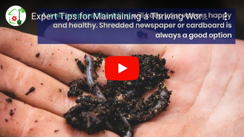 Expert Tips for Worm Farming - Video
