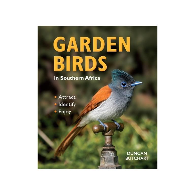 Garden Birds in Southern Africa-GARDENING.co.za