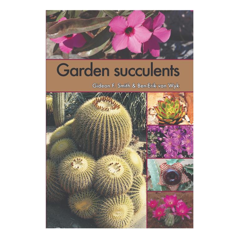 Garden Succulents-GARDENING.co.za