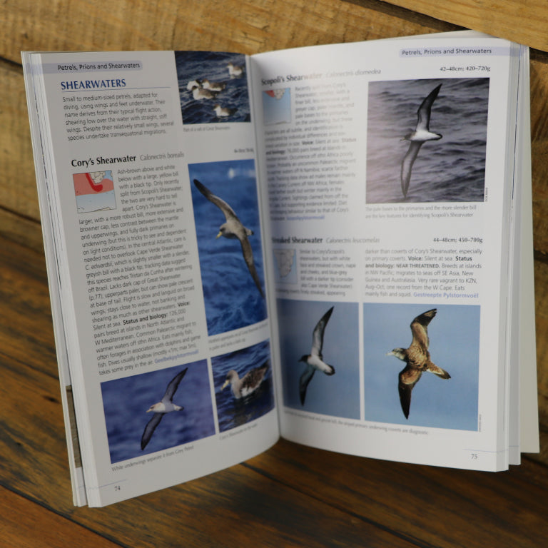 Guide to Seabirds of Southern Africa-GARDENING.co.za