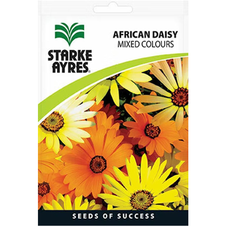 African Daisy Mixed Colours Flower Seeds - GARDENING.co.za