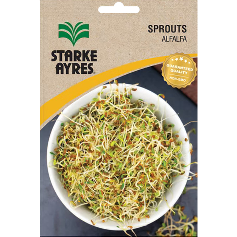 Alfalfa Sprout Seeds - GARDENING.co.za
