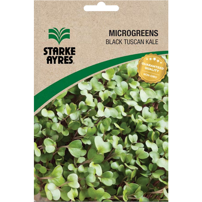 Black Tuscan Kale Microgreens Seeds - GARDENING.co.za