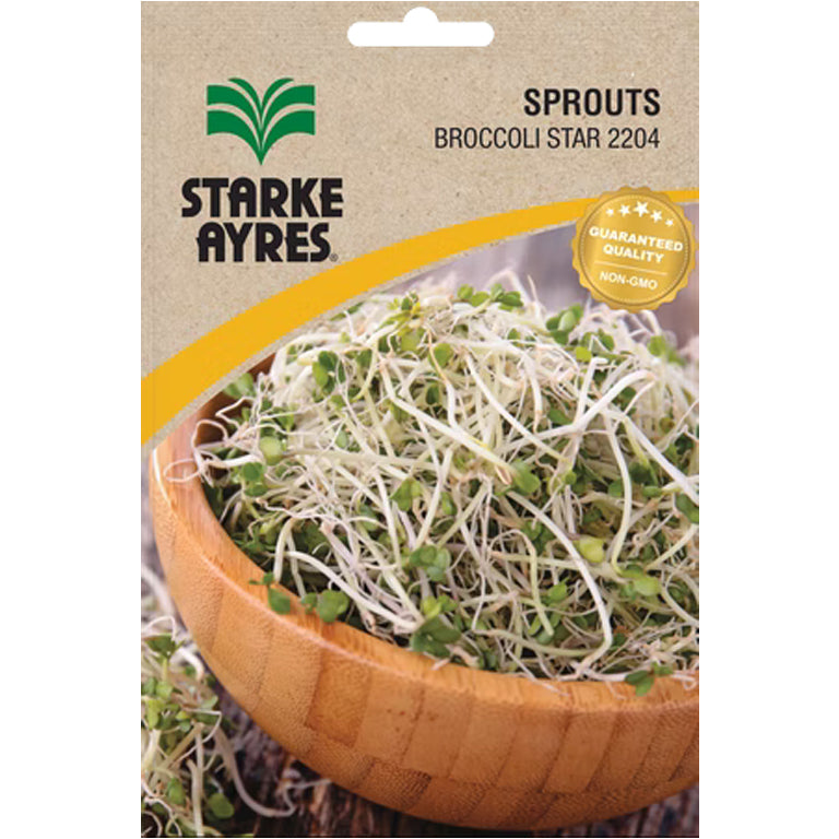Broccoli Star Sprout Seeds - GARDENING.co.za