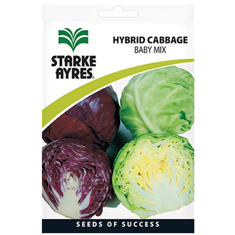 Cabbage Baby Mix Seeds GARDENING.co.za