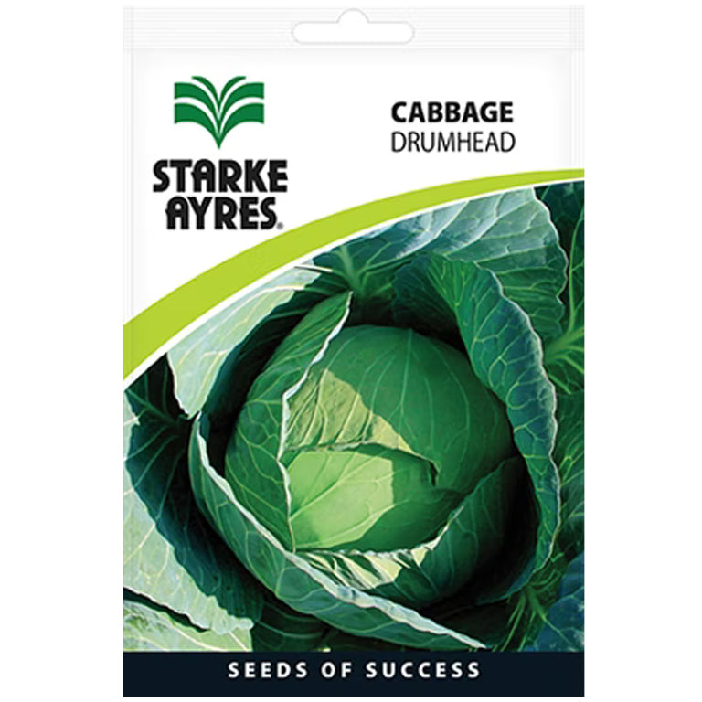 Cabbage Drumhead Seeds Starke Ayres GARDENING.co.za