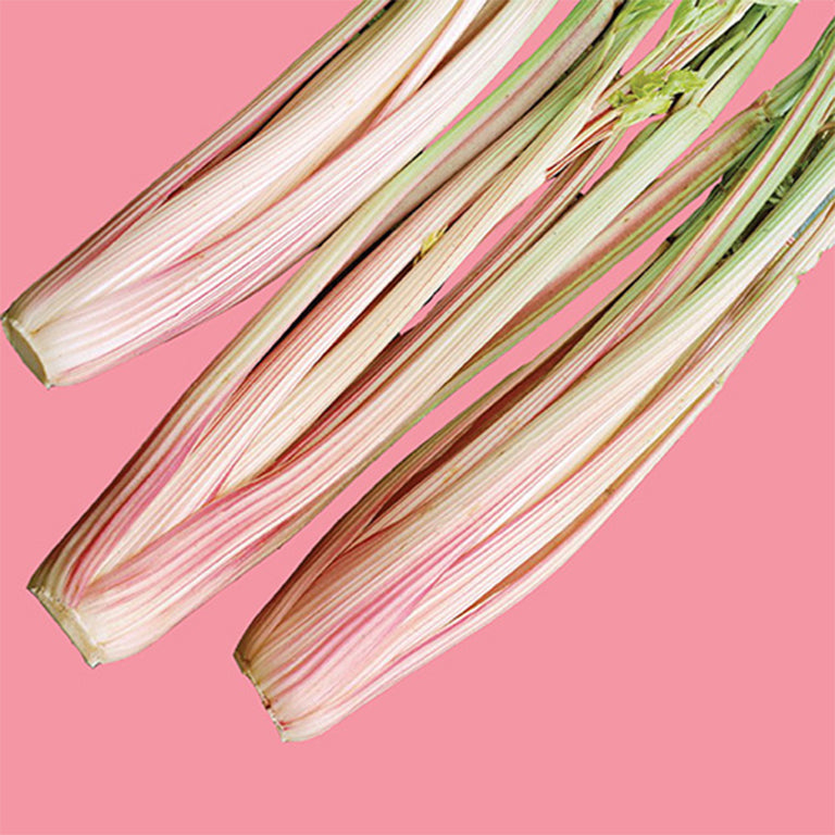 Celery Peppermint Stick Seeds - GARDENING.co.za