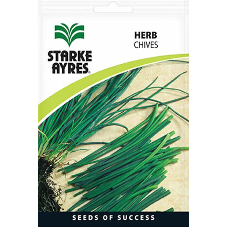 Chives Herb Seeds - GARDENING.co.za