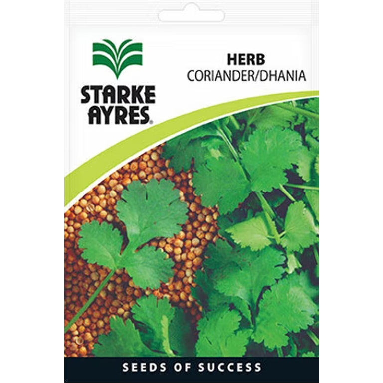 Coriander Herb Seeds - GARDENING.co.za