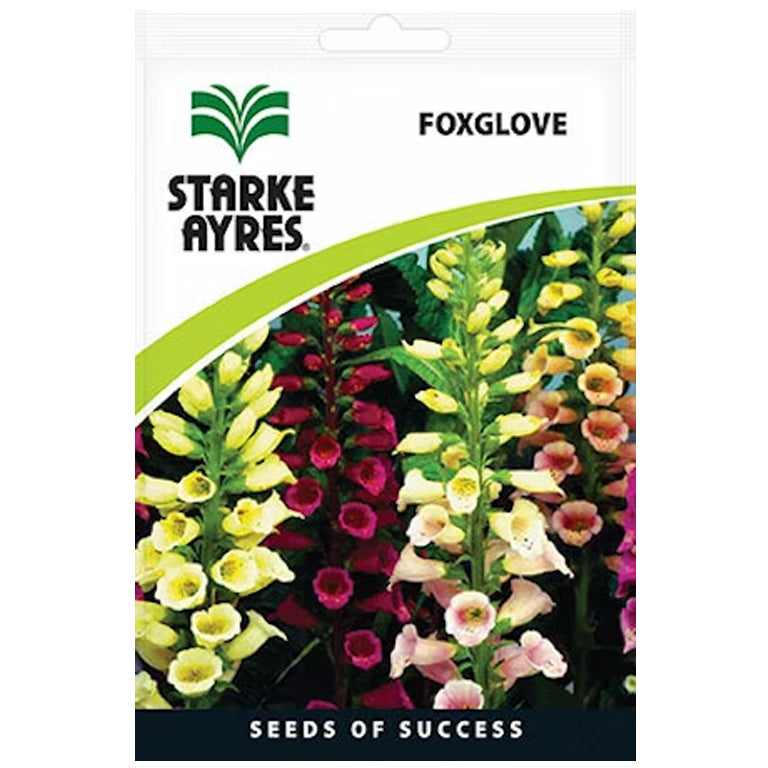 Foxglove Foxy Seeds - GARDENING.co.za