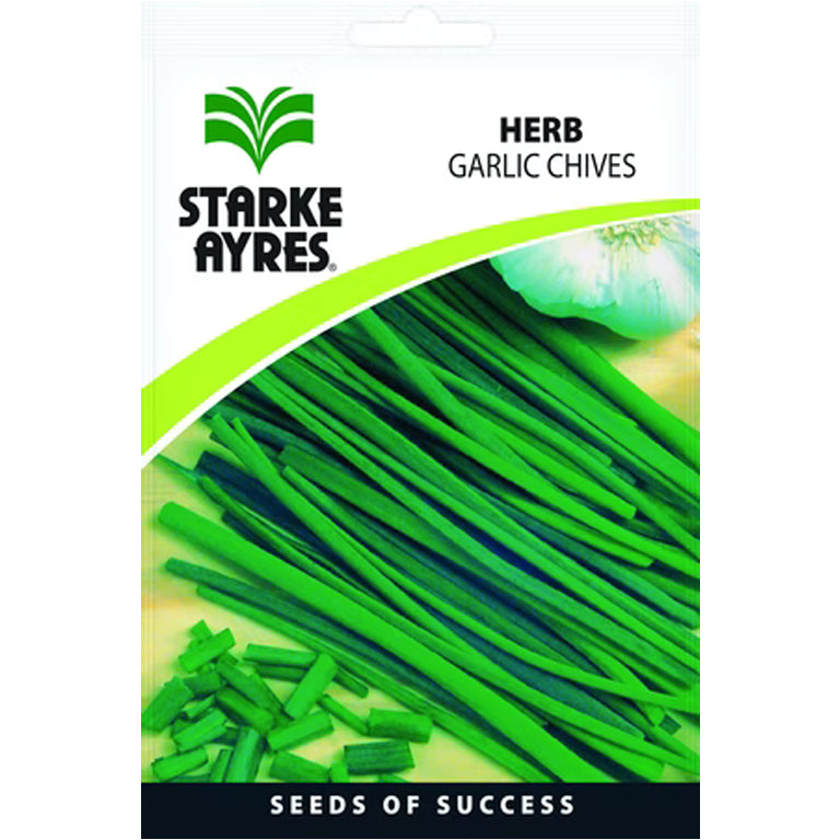 Garlic Chives Herb Seeds - GARDENING.co.za