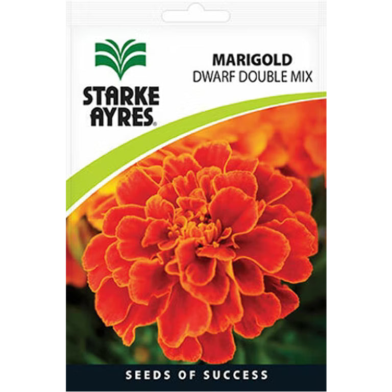 Marigold Dwarf Double Mix Flower Seeds - GARDENING.co.za