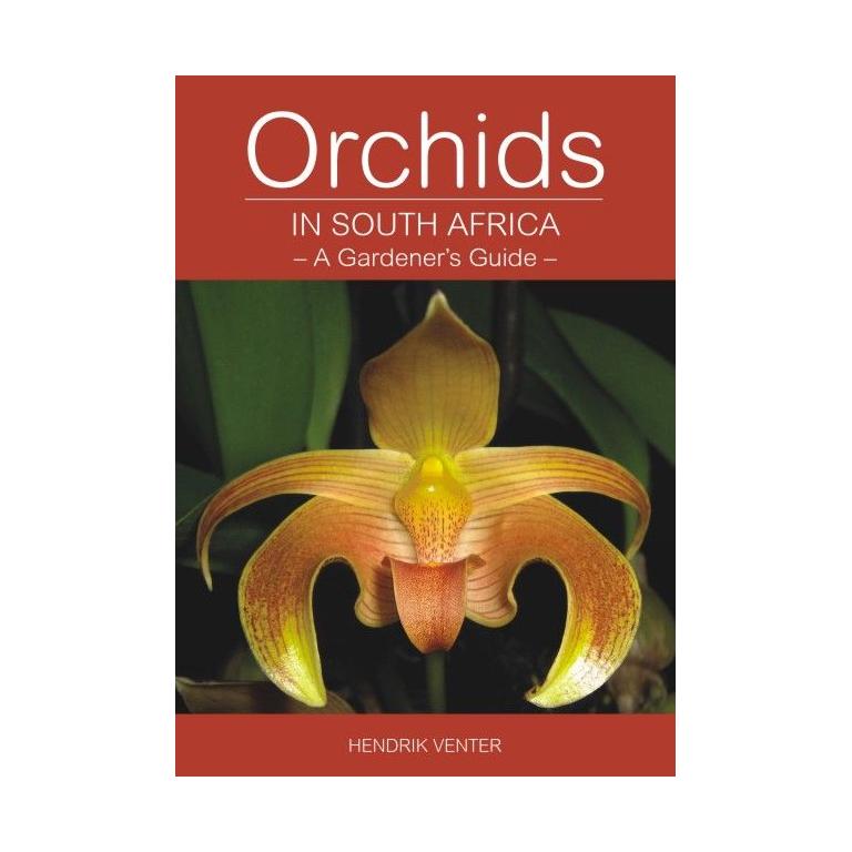 Orchids in South Africa - A Gardener's Guide - GARDENING.co.za