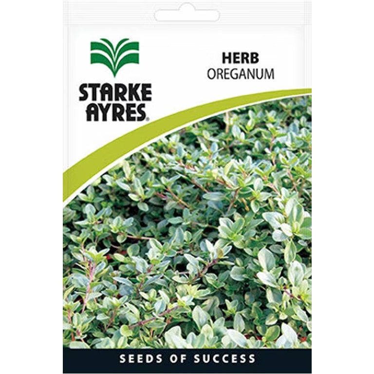 Oreganum Herb Seeds - GARDENING.co.za