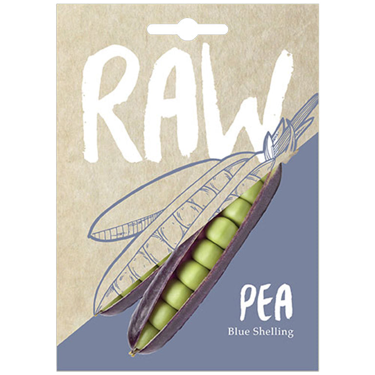 Pea Blue Shelling Seeds - GARDENING.co.za