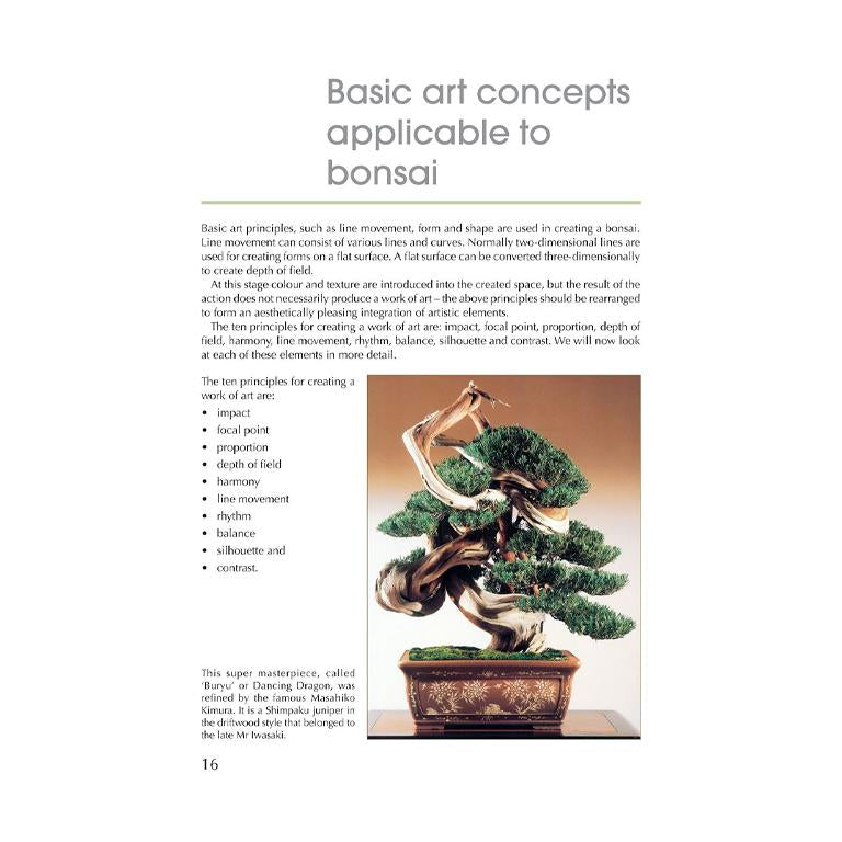 Practical Guide to Bonsai Styles of the World - GARDENING.co.za