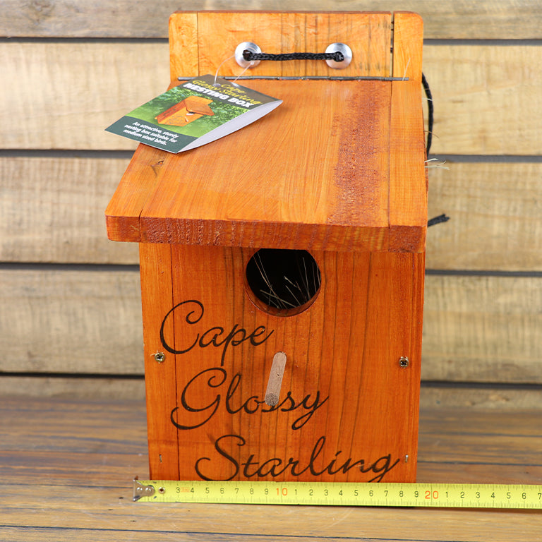 Cape Glossy Starling Nest Box - GARDENING.co.za
