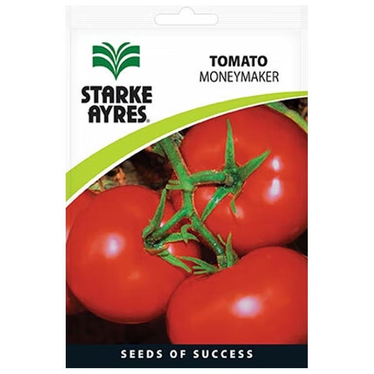 Tomato Moneymaker Seeds - GARDENING.co.za