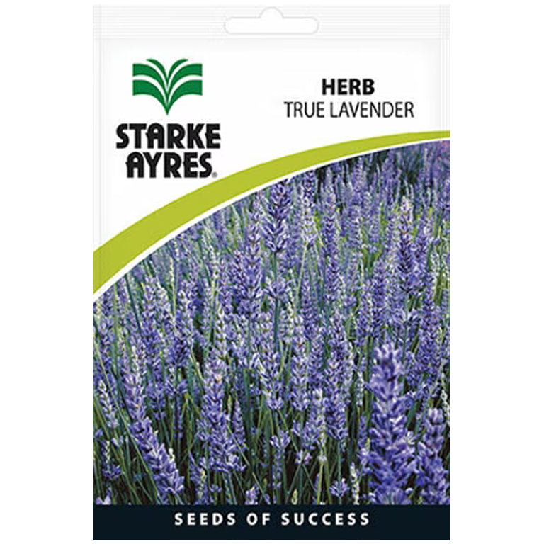 True Lavender Herb Seeds - GARDENING.co.za