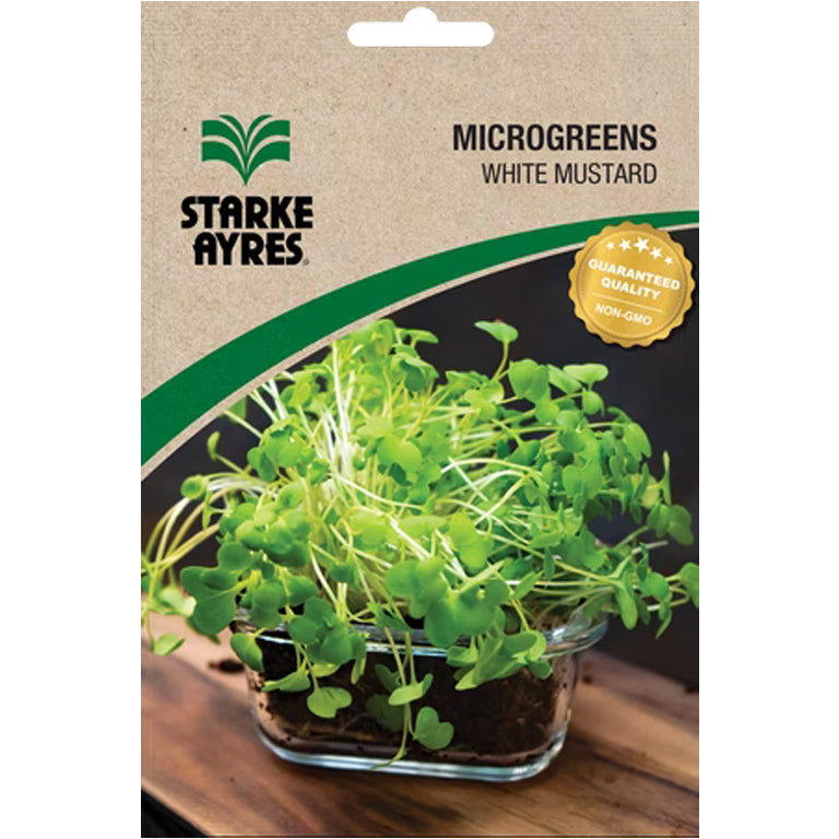 White Mustard Microgreens Seeds - GARDENING.co.za