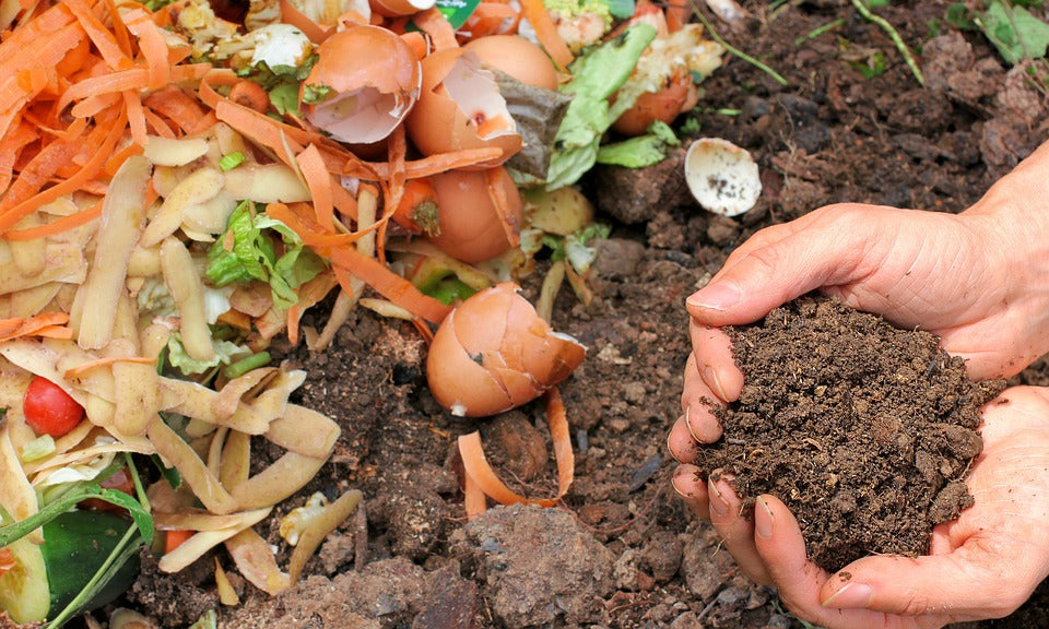 Bokashi Composting: An Innovative Solution for Sustainable Gardening and Waste Reduction
