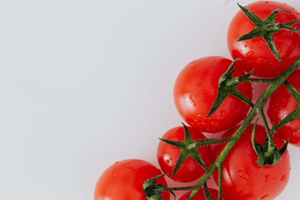 When Should You Harvest Your Cherry Tomatoes for Optimal Taste and Quality? 🍅🌱