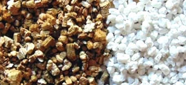 The Ultimate Guide to Perlite and Vermiculite: Unlocking the Secrets for a Thriving Garden