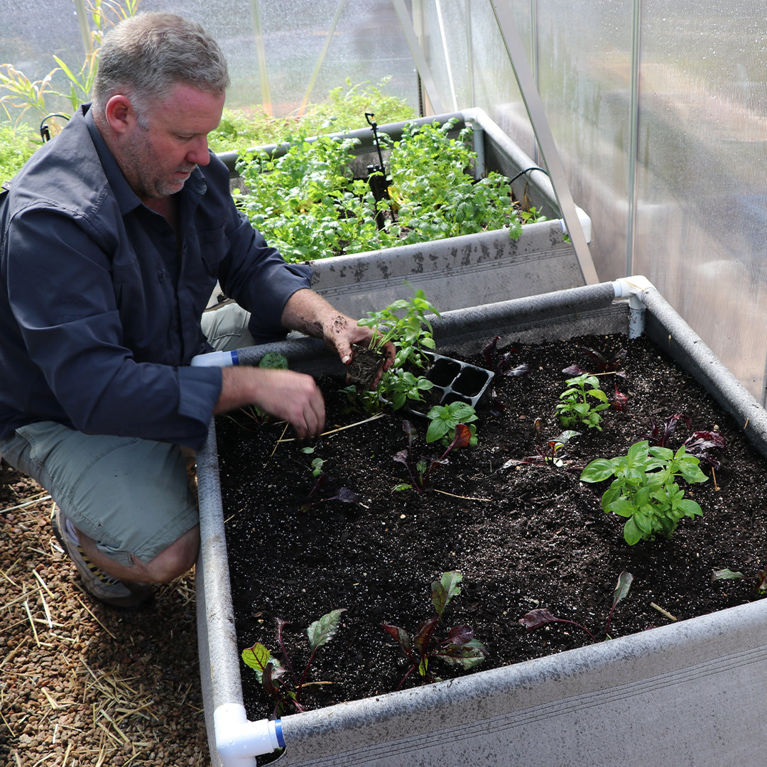 The Ultimate Guide to Using Raised Beds in Your Garden for Unbeatable