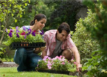 Valentine's Day is a special occasion for couples to express their love