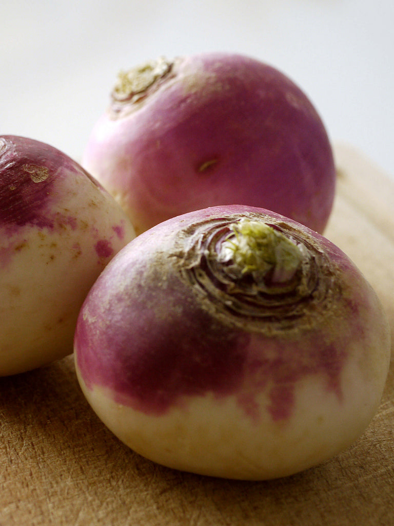 TURNIP PURPLE TOP WHITE GLOBE