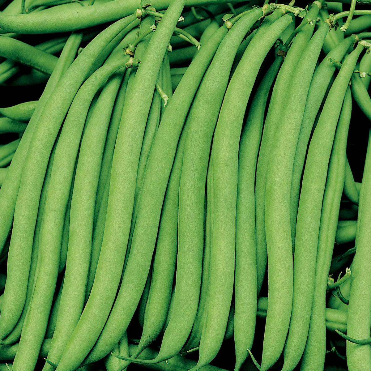 Beans Malelane