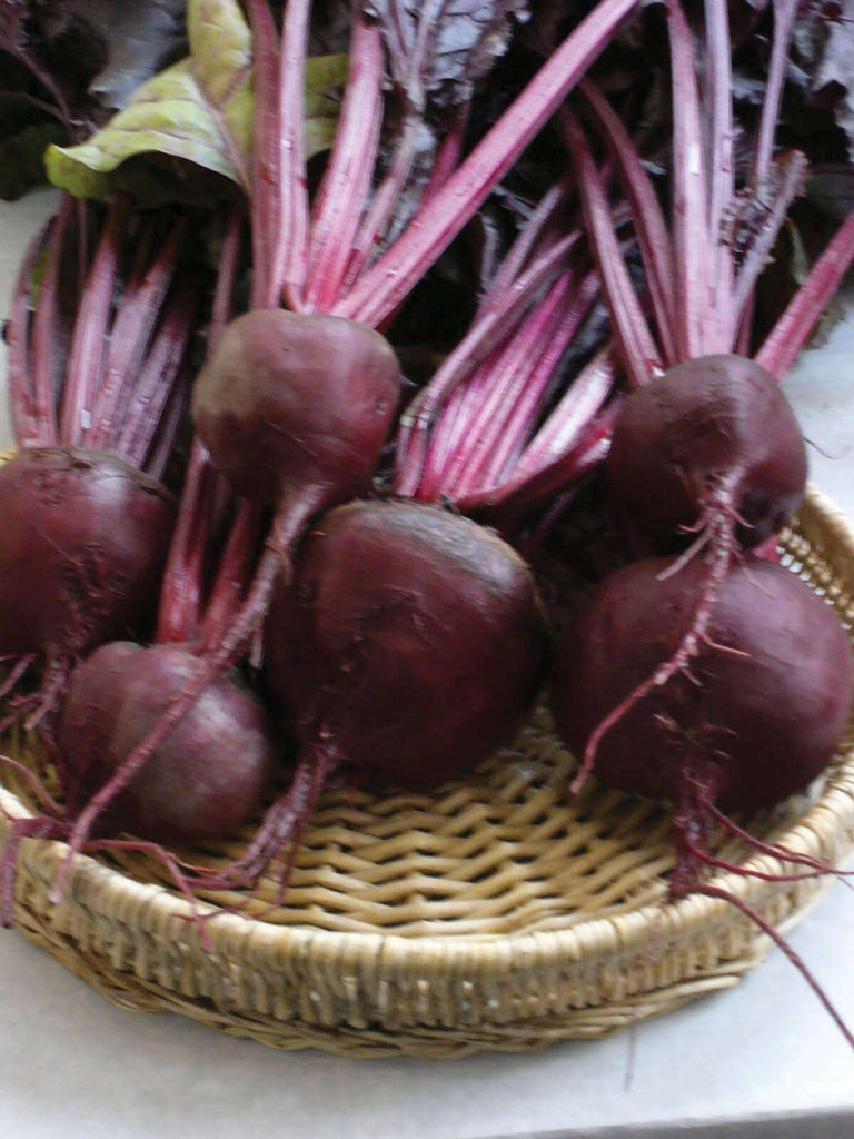 BEETROOT BULLS BLOOD