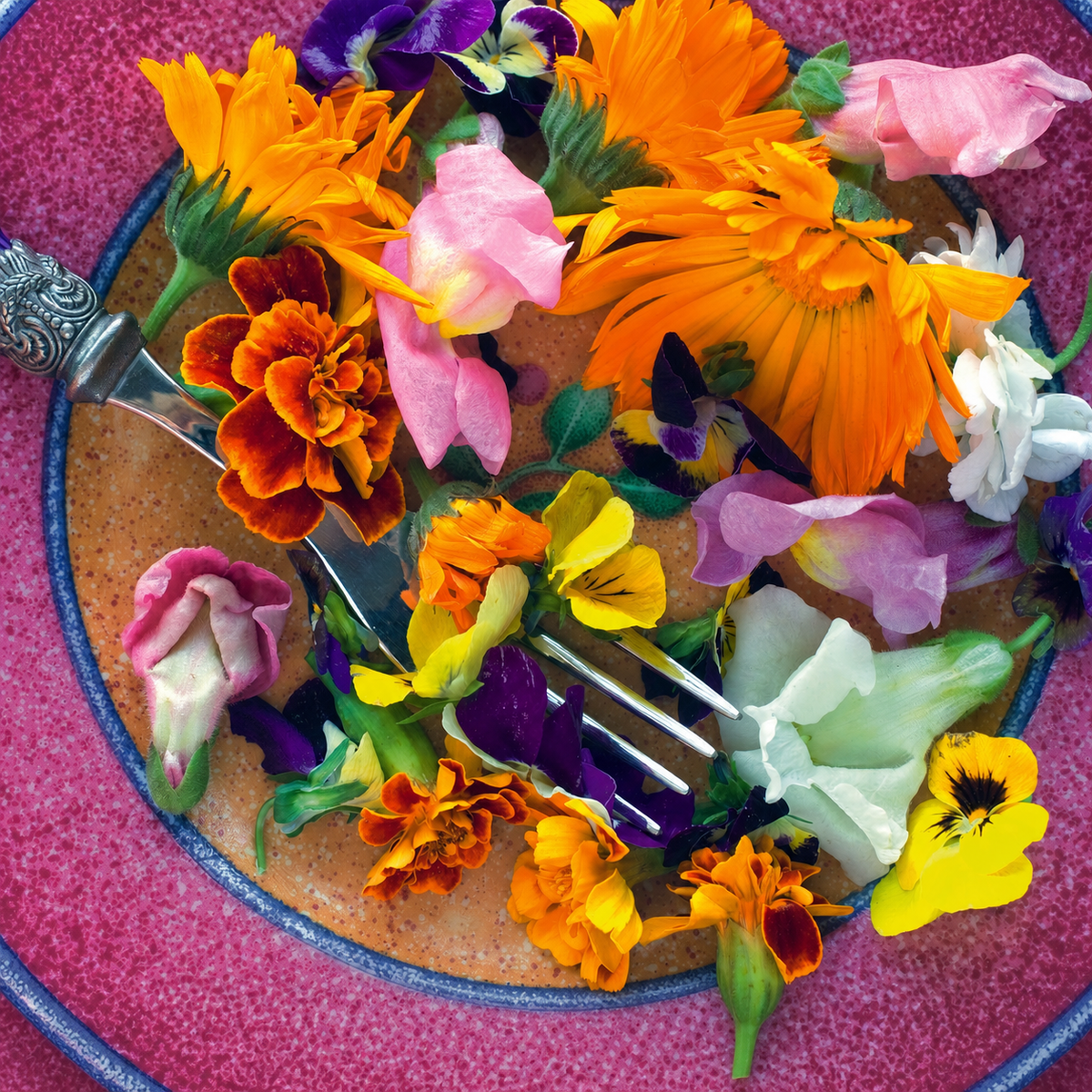 Edible flower and herb mix with colourful blooms and foliage