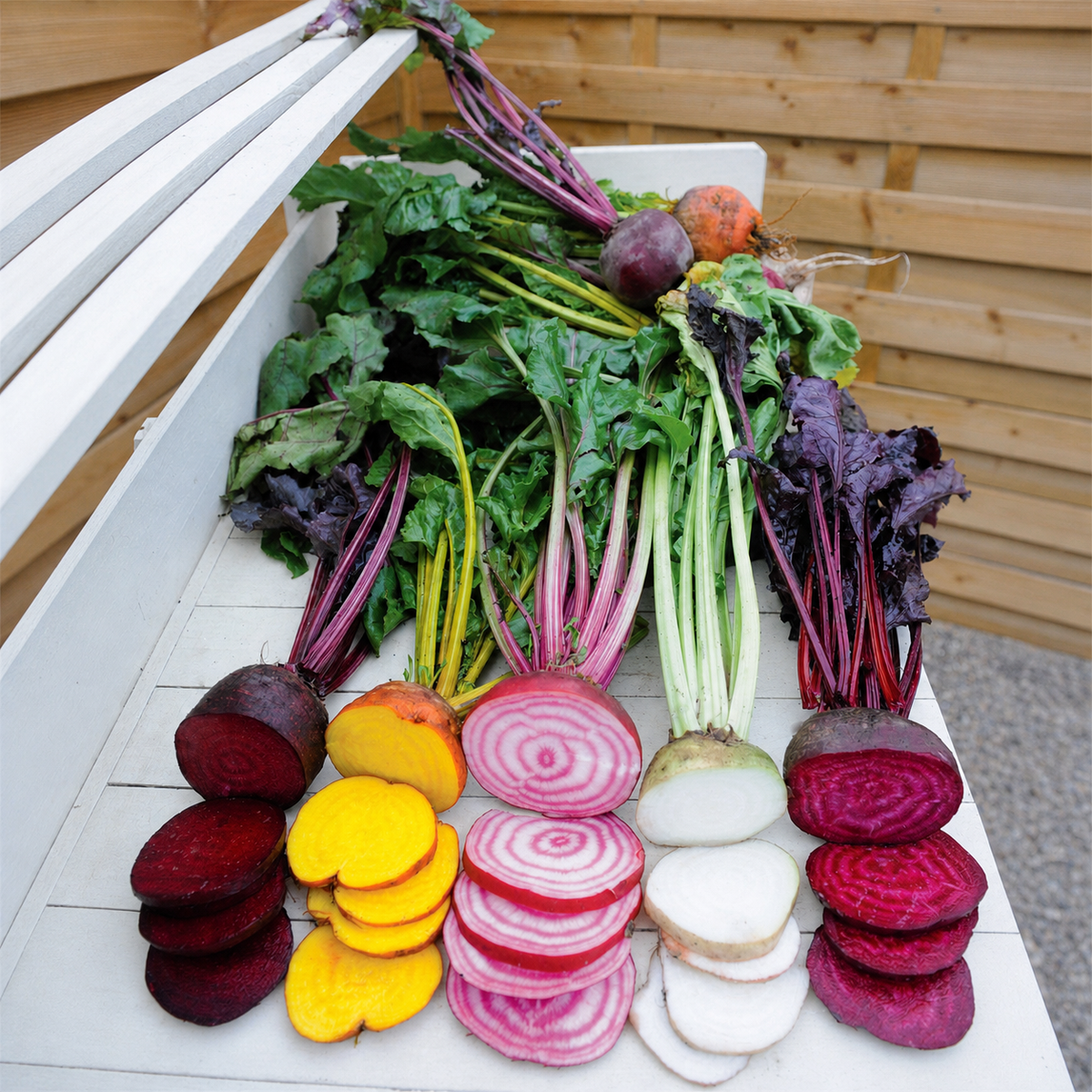 BEETROOT RAINBOW MIX