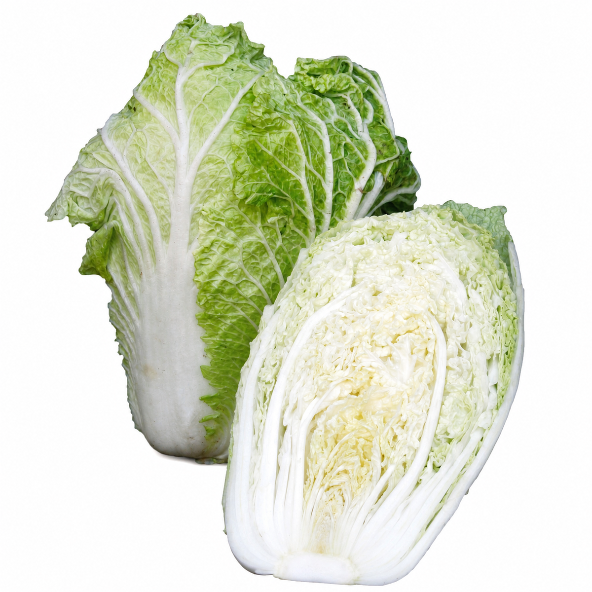 CABBAGE CHINESE MICHILLI