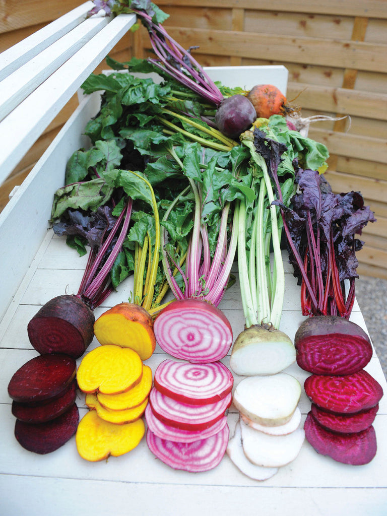 BEETROOT RAINBOW MIX