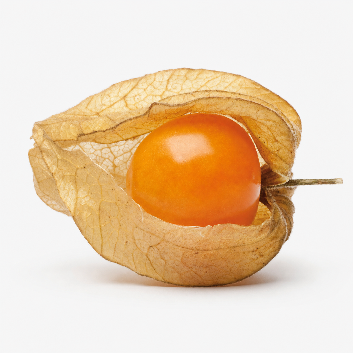 CAPE GOOSEBERRY