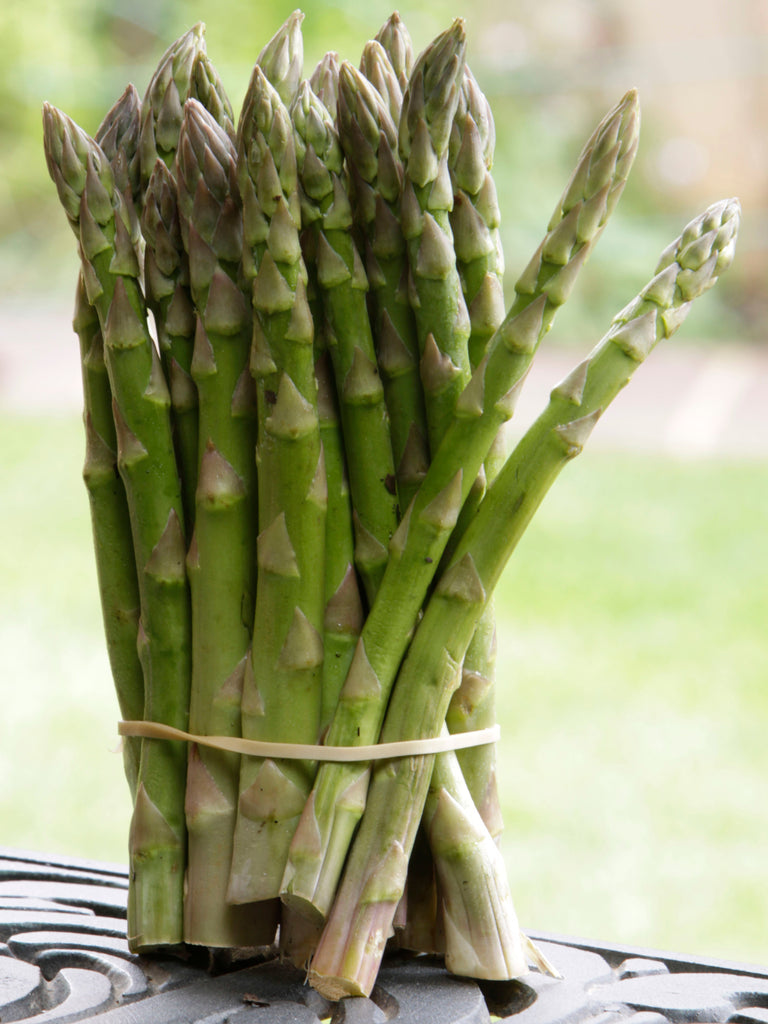 ASPARAGUS UC157 F2 HYBRID