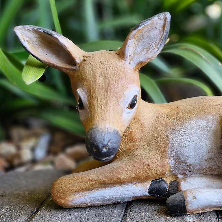 Baby Deer - additional view 2