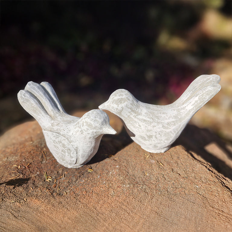 Little Birds, pair