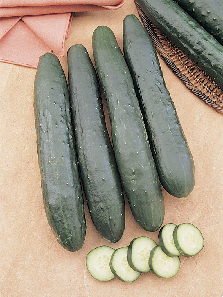 CUCUMBER GARDEN SWEET BURPLESS