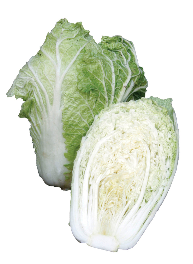 CABBAGE CHINESE MICHILLI