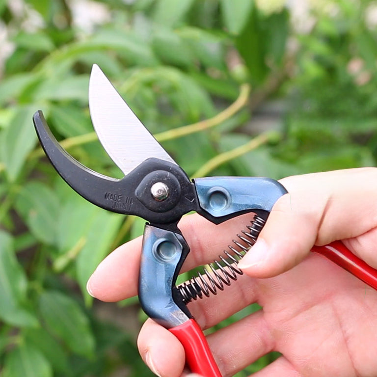 Secateurs Hand Pruners South Africa GARDENING co za secateurs-hand-pruners-south-africa-gardening-co-za