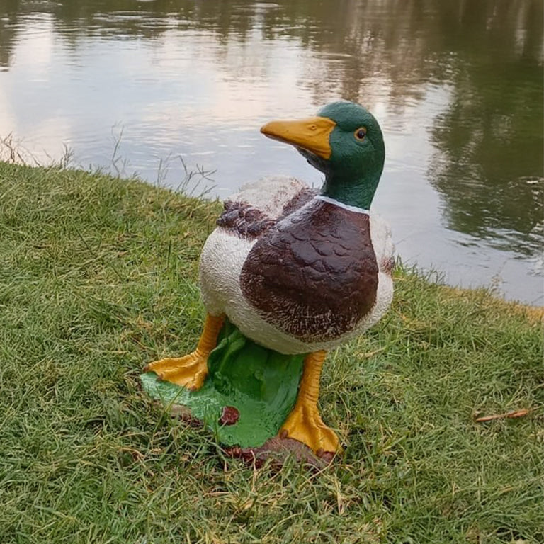 Ducks - additional view 2