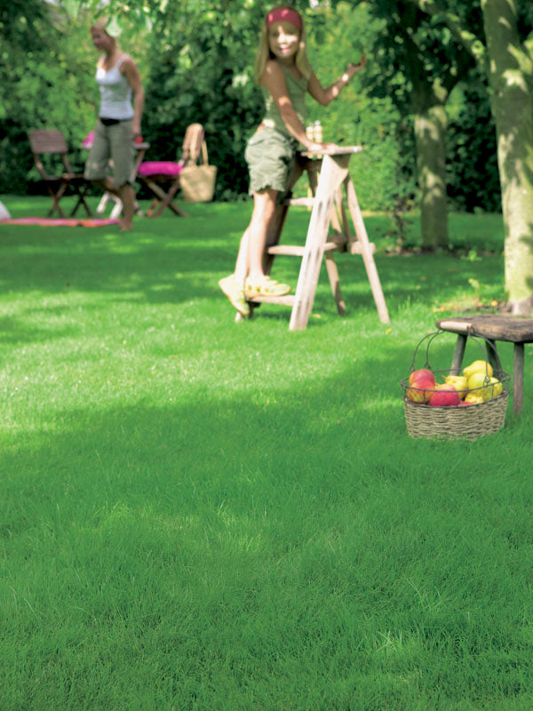 Evergreen Lawn Seeds –