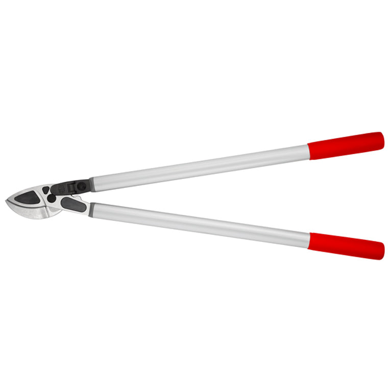 Loppers – GARDENING.co.za