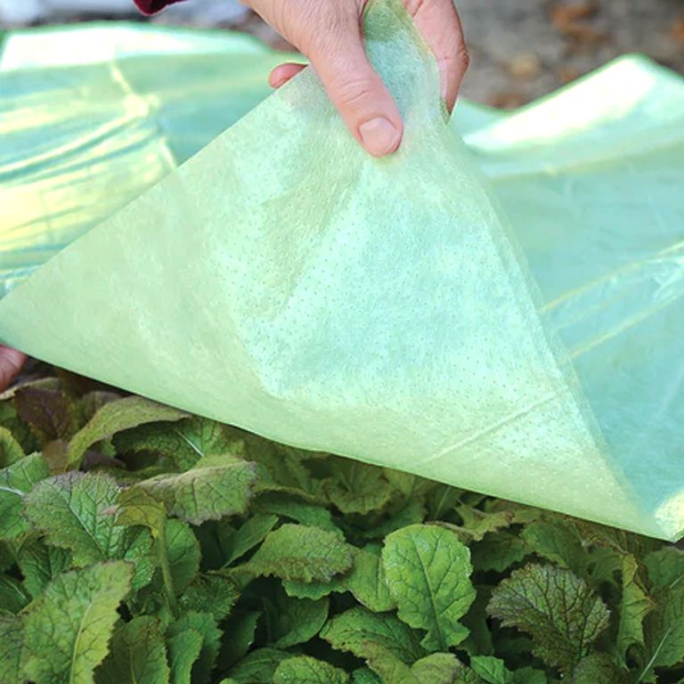 Ubuntuberg Frost Cover Roll (Green) 2m x 1000m / 17 Gsm - additional view 3