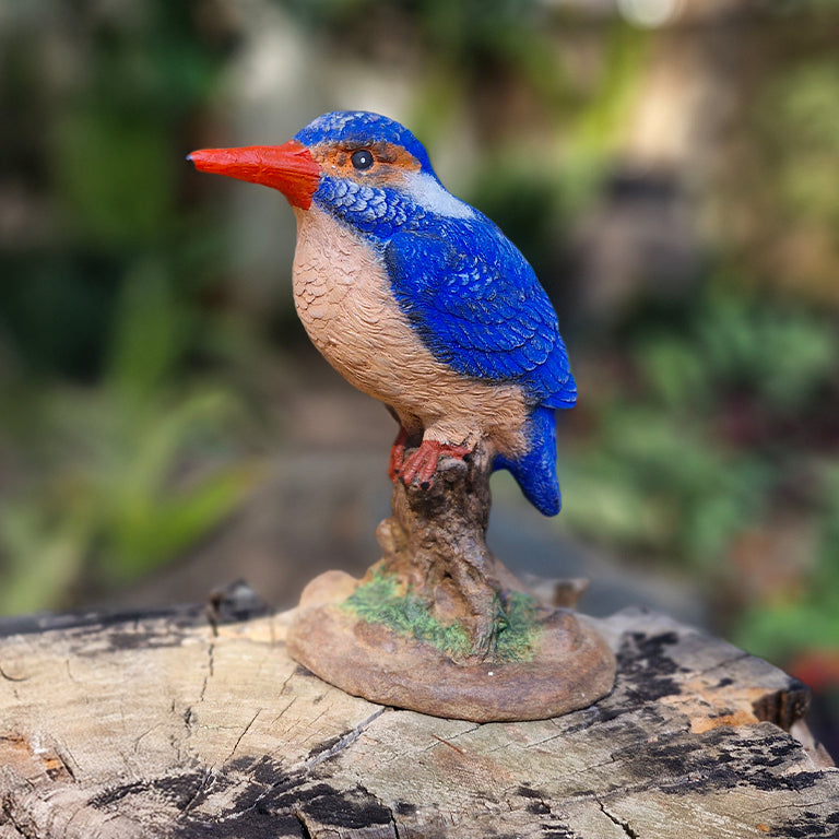 Kingfisher - additional view 2