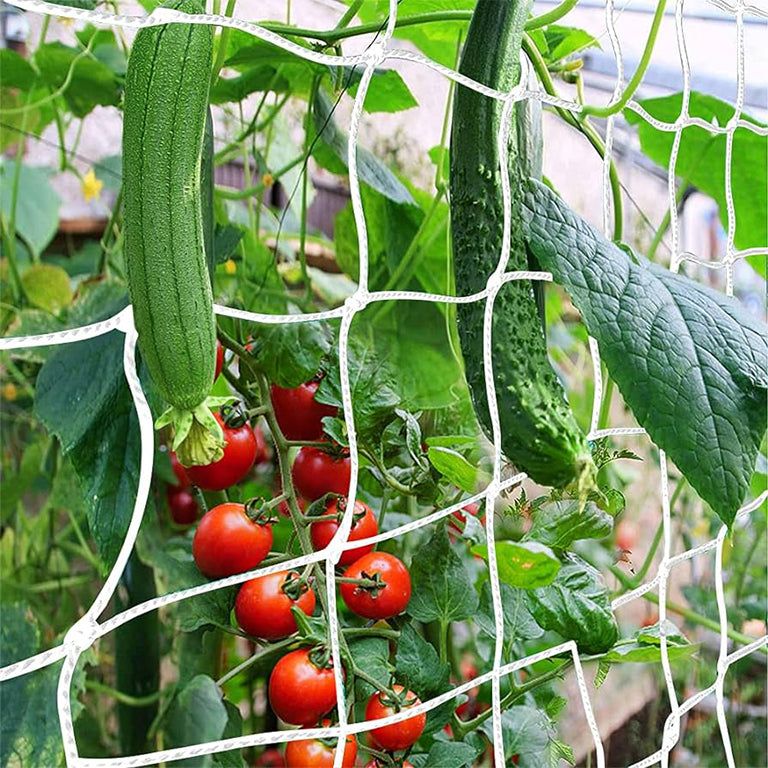 LightHouse Trellis Netting - additional view 4