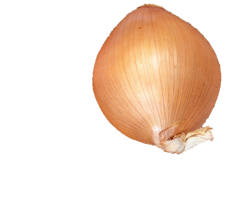 ONION AUSTRALIAN BROWN